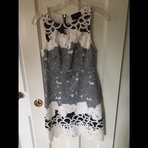 Romeo & Juliet Navy & White Lace Dress [S]